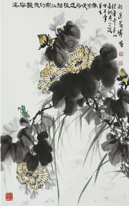 芙蓉